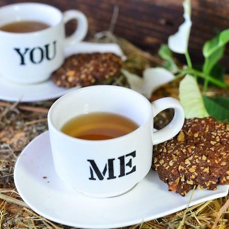 Bieszczadzki Zakatek :-) Villa Skorodne Ngoại thất bức ảnh